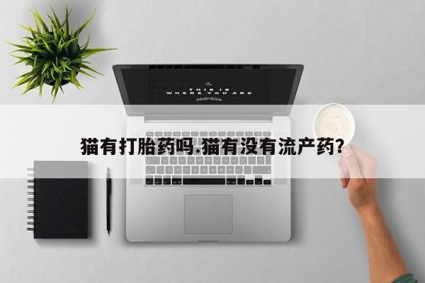 堕胎药在线购买猫有打胎药吗.猫有没有流产药？