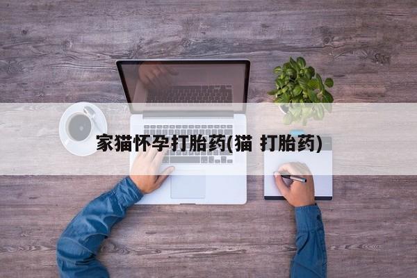 堕胎药在线购买家猫怀孕打胎药(猫 打胎药)